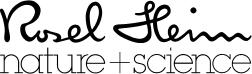Rosel Heim logo